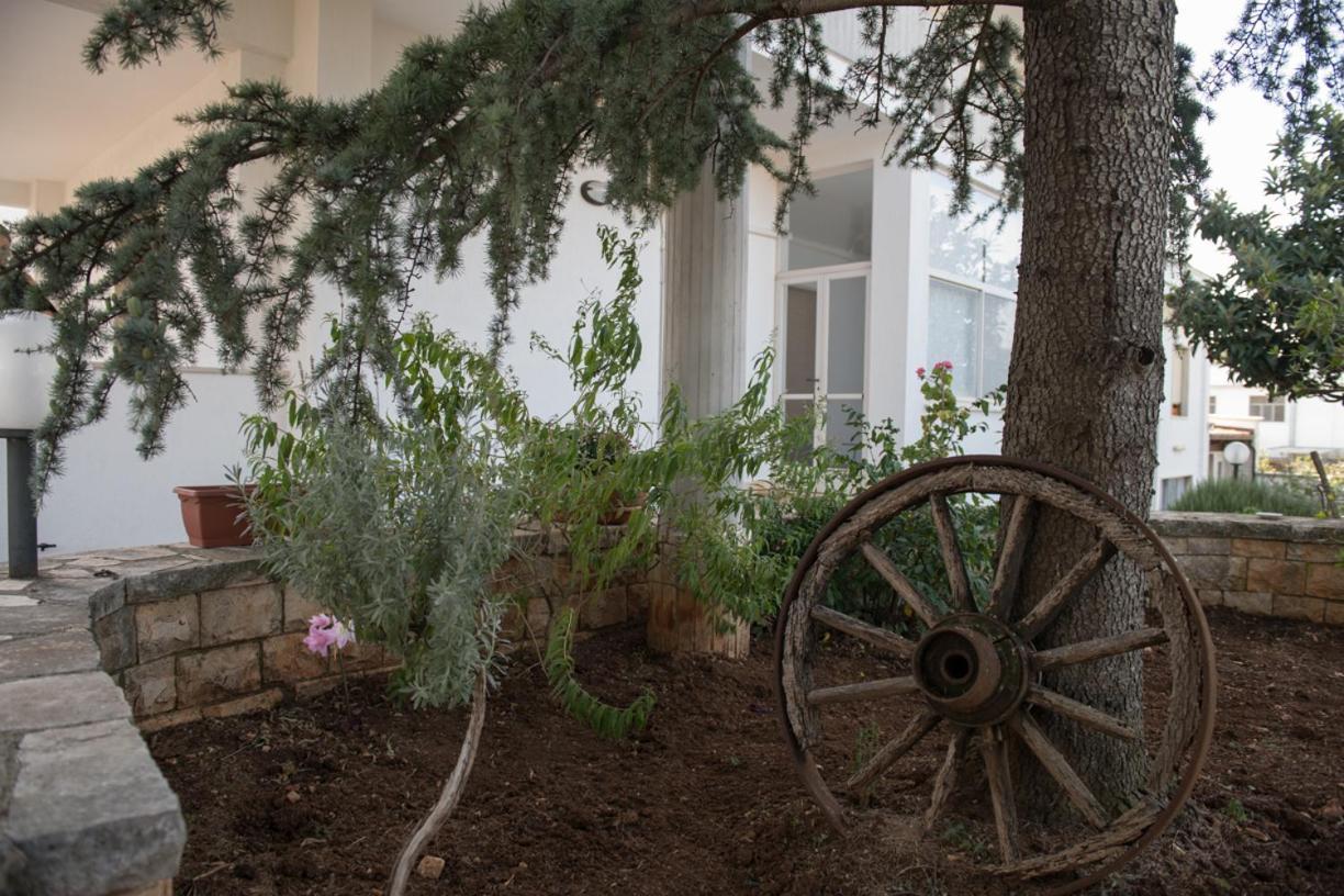B&B Cenzina Alberobello Exterior photo